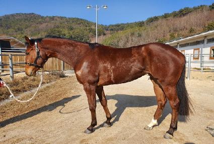 ��Ƽ���� ����