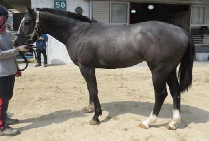 ��Ű��� ����