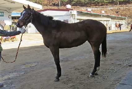 �ݼ����� ����