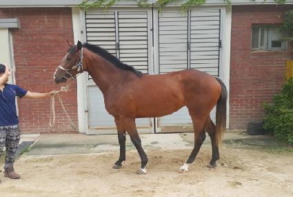 ����Ǯ����Ƽ ����