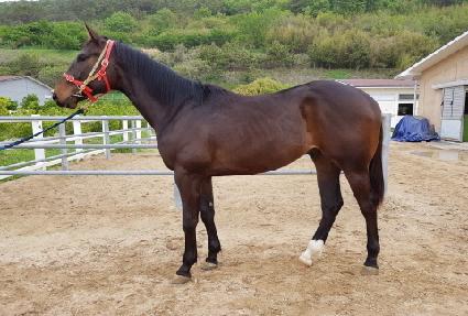 ����Ƽ ����