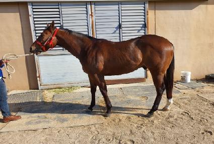 �ö��װ�ž ����