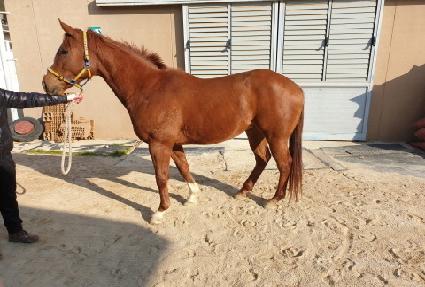 ���̾����� ����