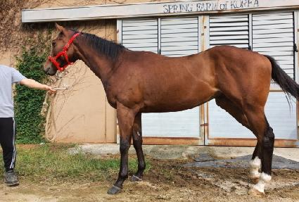 �Ծȼ��� ����