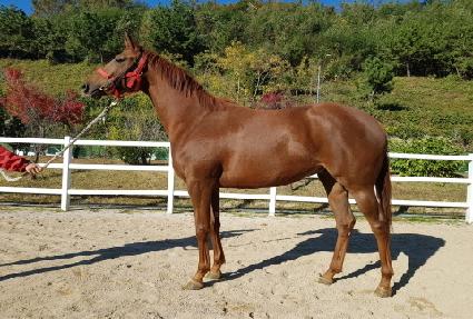 �Ծ��հ��� ����