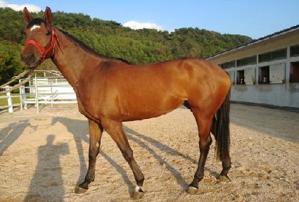 �Ծȸ��̻� ����