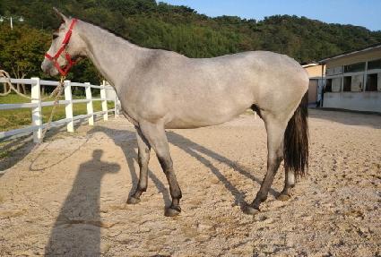 �ƶ󰡾߿ռ� ����