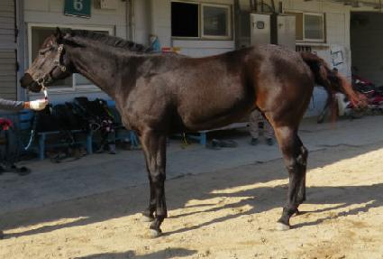 ������ ����