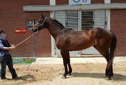 ������ǰ ����