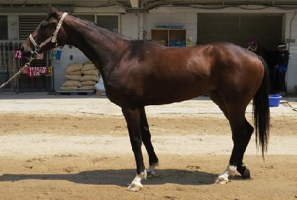 ���̺��� ����