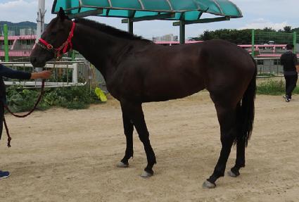 �ε���ũ ����