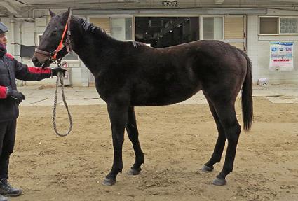 ����Ȧ ����