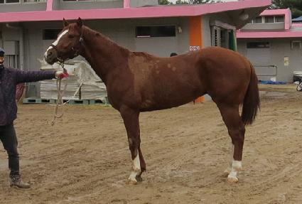 �Ѽ���� ����