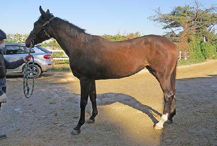 �޴Ͻ���Ʈ ����