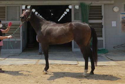 �򸮹� ����