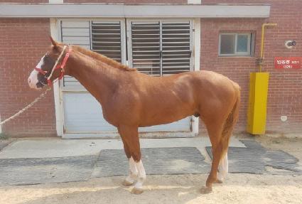 ���� ����