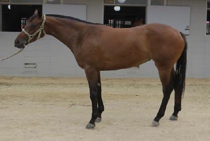 �ǿ��������� ����