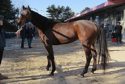 �¸����� ����