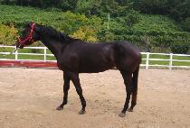 ���ɿ��� (NUN KKOT YEWANG) ����