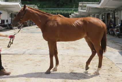 ���丮���� ����