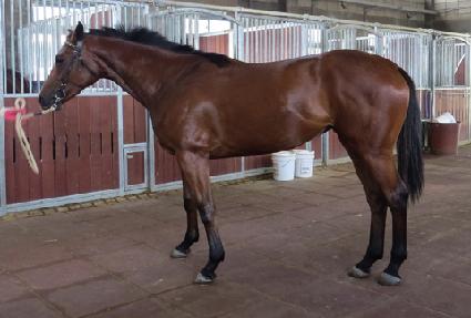 ���̴��� ����