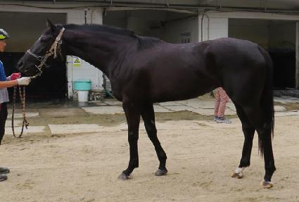 �ʵ���Ű ����