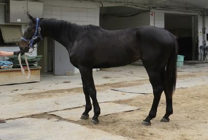 �������� ����