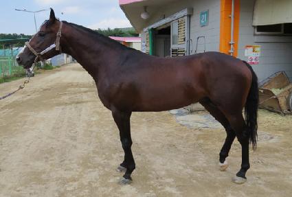 �ǿ������� ����