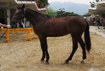 �ǿ������Ķ� (P N S PARANG) ����