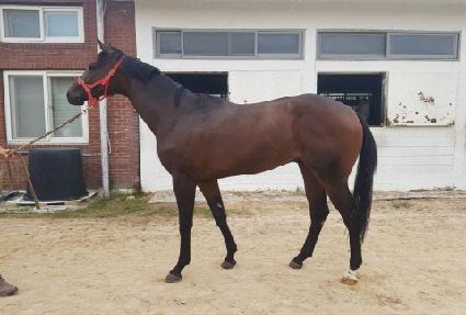 �����۴� ����