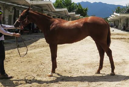 �������� ����