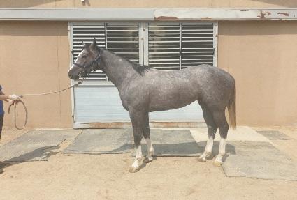 �����ç���� ����