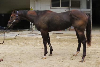 ��ĸƾ ����