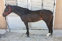 KEUN BUKGEUKSEONG picture