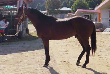 ������ ����