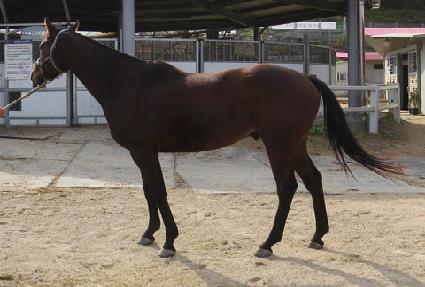 ��õ� ����