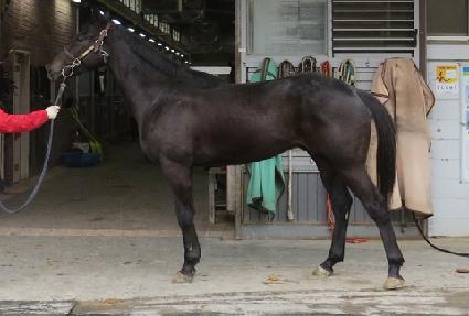 ���ϳ״� ����