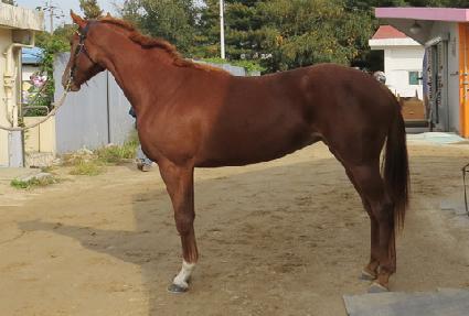 �Ķ��ĳ�� ����