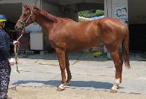 �׷��帶���� (GRAND MASTER) ����