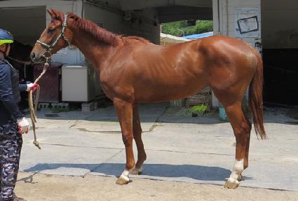 �׷��帶���� ����