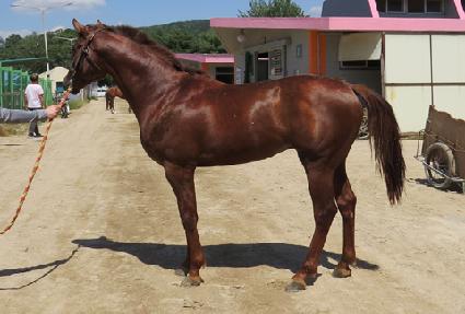 �ǿ�������� ����