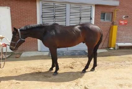 �Ǿ��÷ο� ����