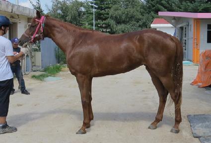 �̽�����Ʈ ����