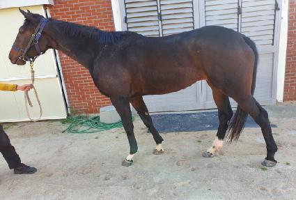 �������� ����