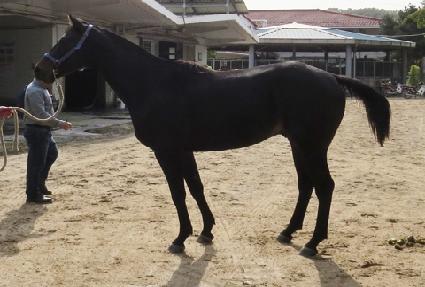 Ƽ����� ����