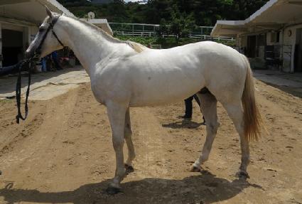 ������Ʈ ����