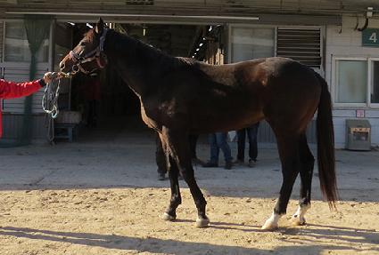 �հ��� ����