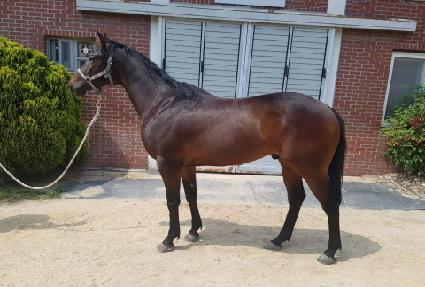 ��ٸ������� ����