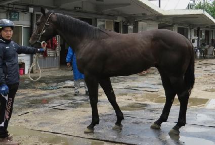 ��ŷ ����