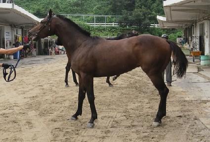 �������� ����